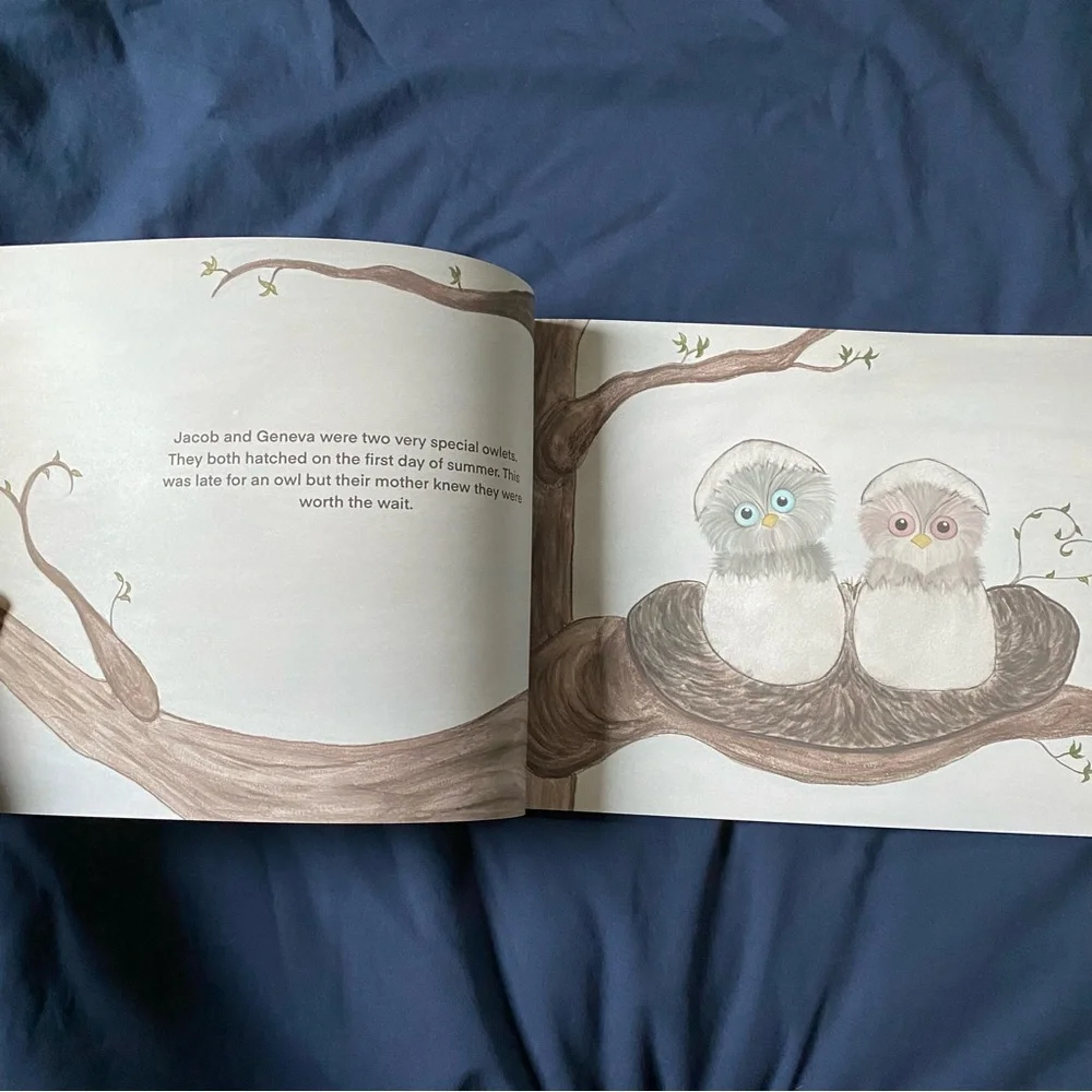 Jacob Learns to Fly PLUS Craft Project Written and Illustrated by Amanda Russell